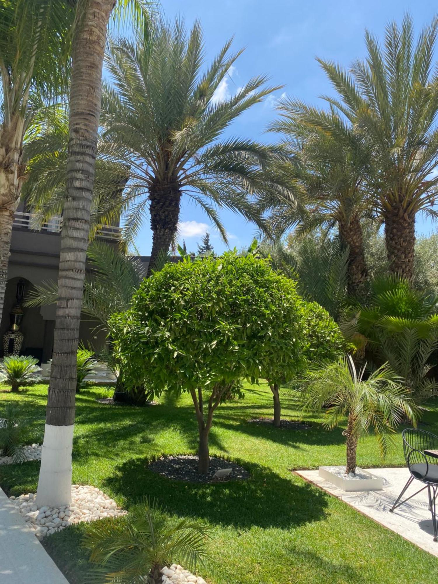 Villa Mano Lagouassem Exterior photo